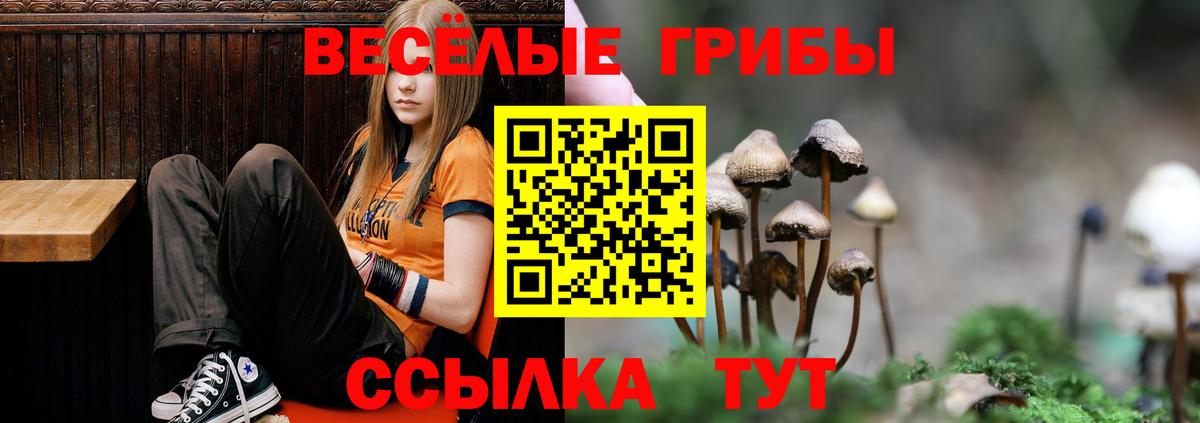 Галлюциногенные грибы MAGIC MUSHROOMS  Вход с VPN  Советская Гавань 